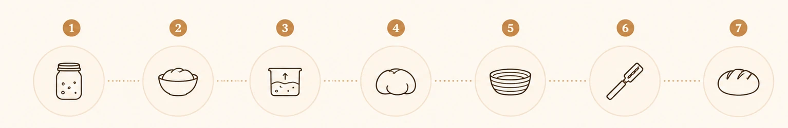 Seven illustrated stages of a sourdough bake: prepare, mix, ferment, shape, proof, bake, and learn.